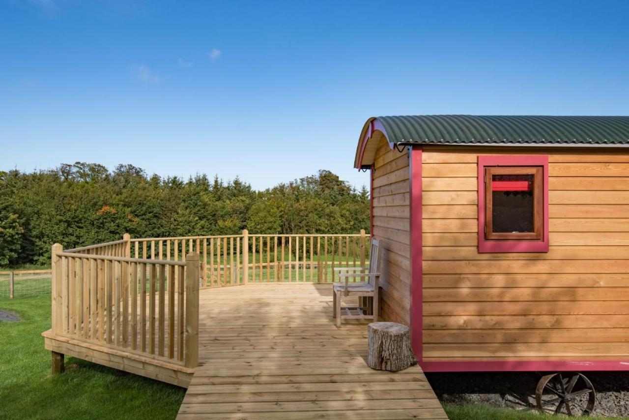 Foxglove Shepherd'S Hut Berwick Upon Tweed Exteriör bild