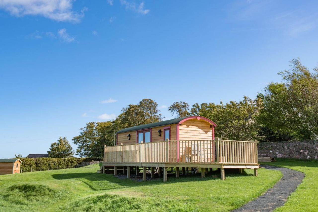 Foxglove Shepherd'S Hut Berwick Upon Tweed Exteriör bild